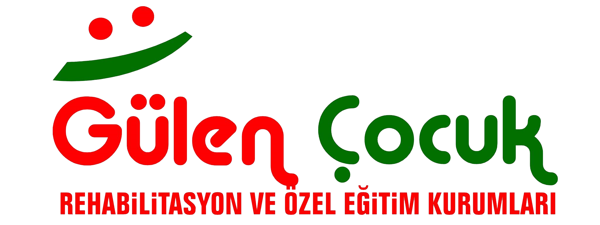 Özel Aşık Paşa Gülen Çocuk Rehabilitasyon  Özel Eğitim ve  Merkezi